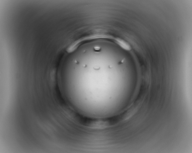 X0000114070319200910131211