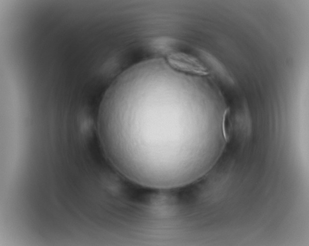 X0000114070320200910131211