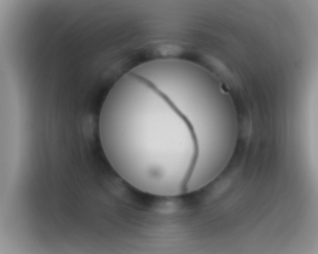 X0000114070321200910131211