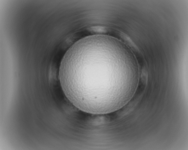 X0000114070330200910131211