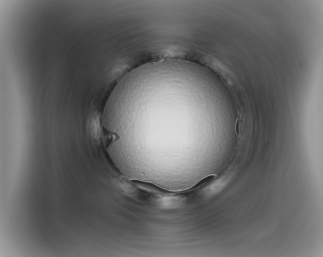 X0000114070336200910131211