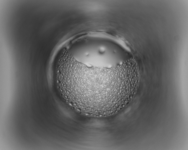 X0000114070343200910131211