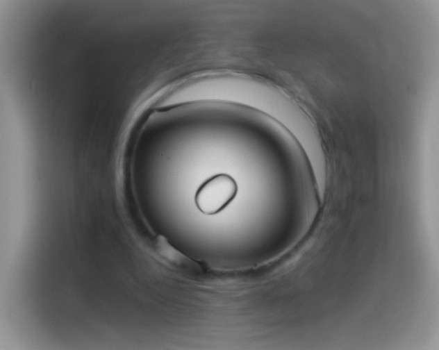 X0000114070344200910131211