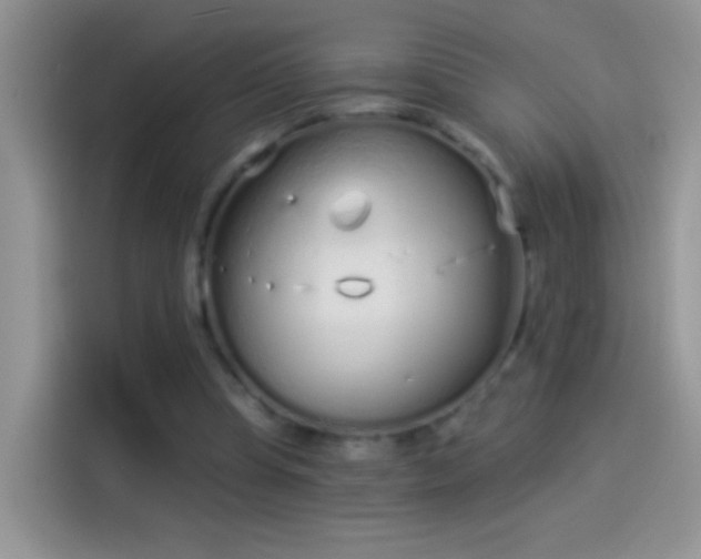 X0000114070345200910131211