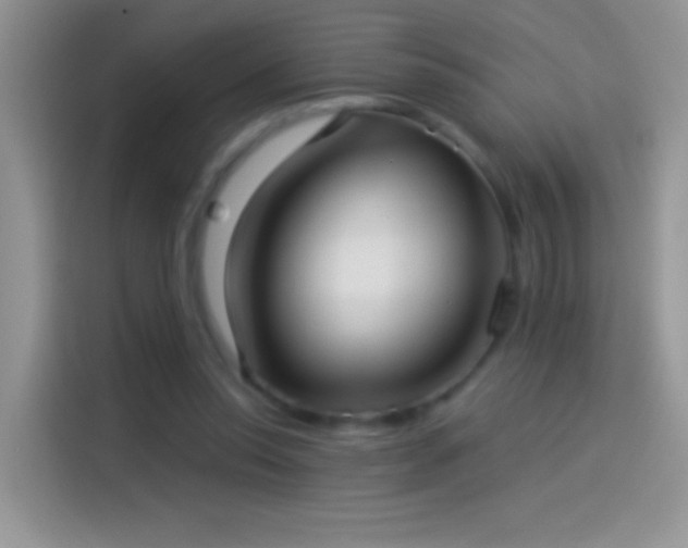 X0000114070350200910131211