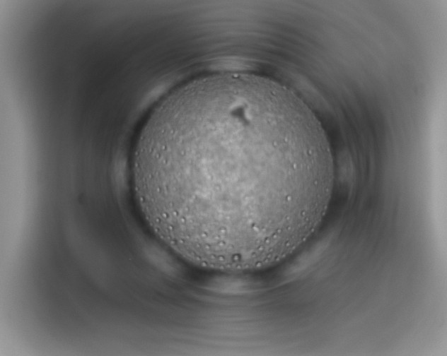 X0000114070351200910131211