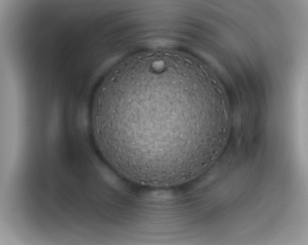 X0000114070353200910131211