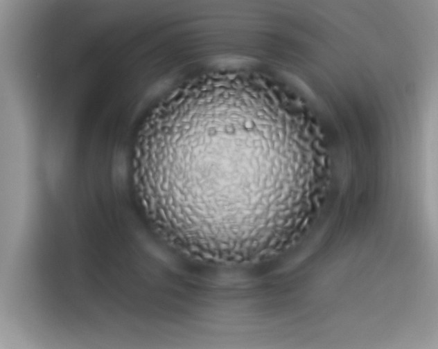 X0000114070357200910131211