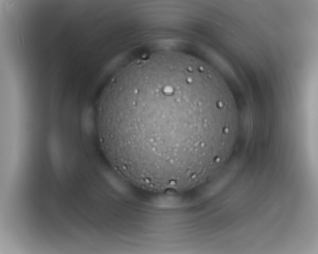 X0000114070361200910131211