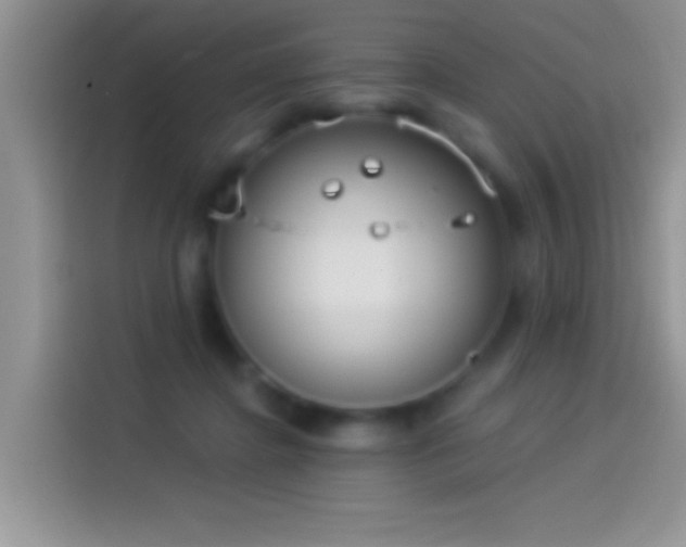 X0000114070364200910131211