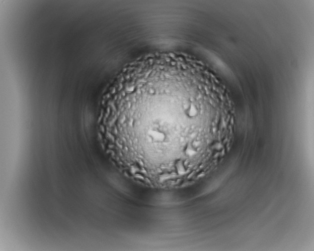 X0000114070365200910131211