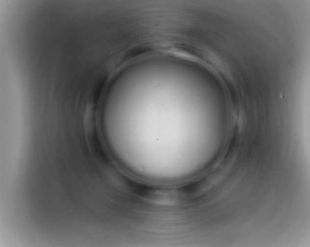 X0000114070366200910131211