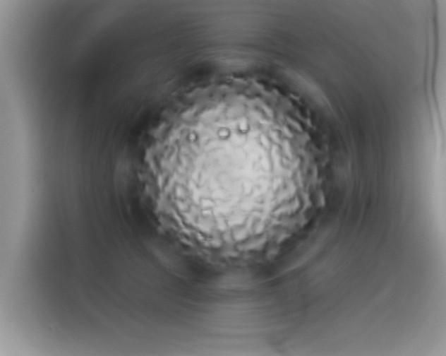 X0000114070369200910131211