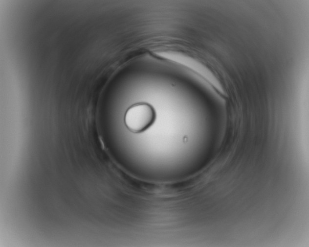 X0000114070372200910131211