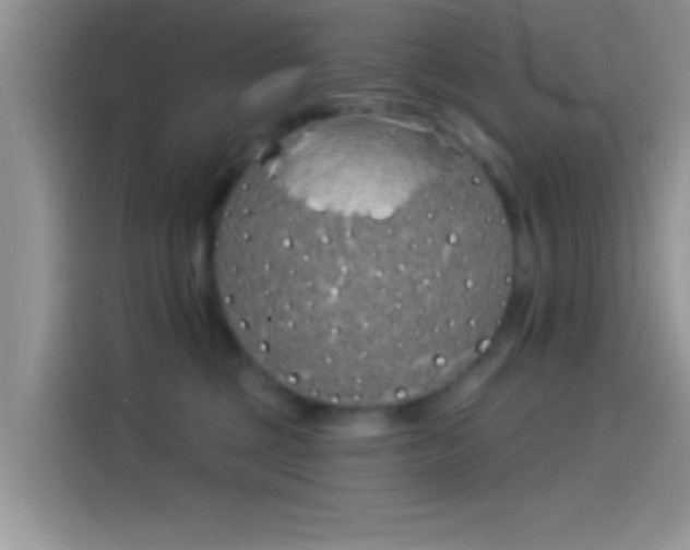 X0000114070377200910131211