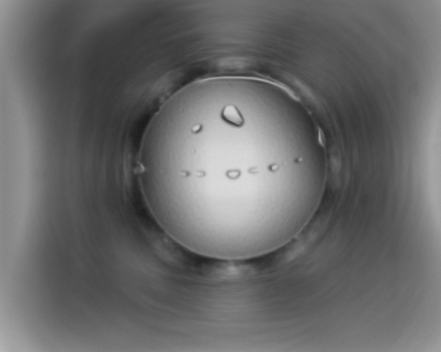 X0000114070379200910131211