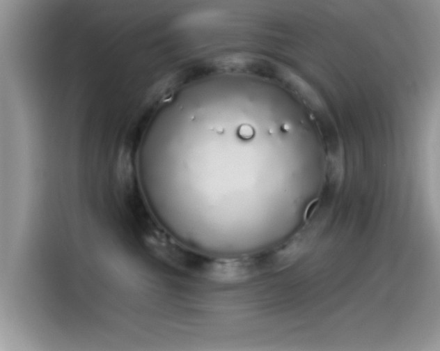 X0000114070381200910131211