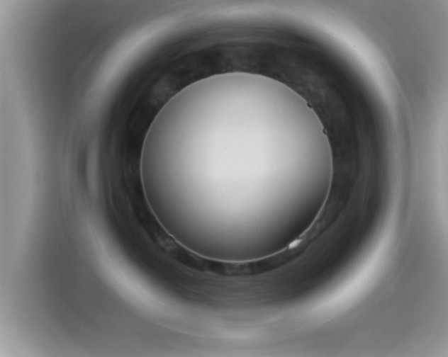 X0000114070382200910131211