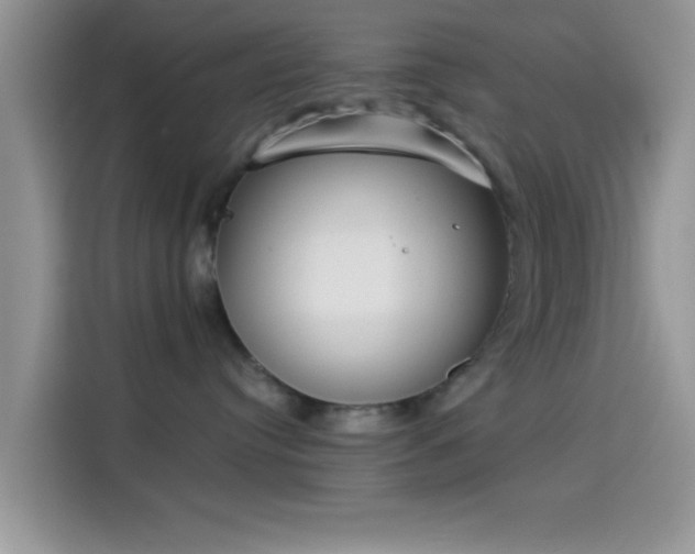 X0000114070384200910131211