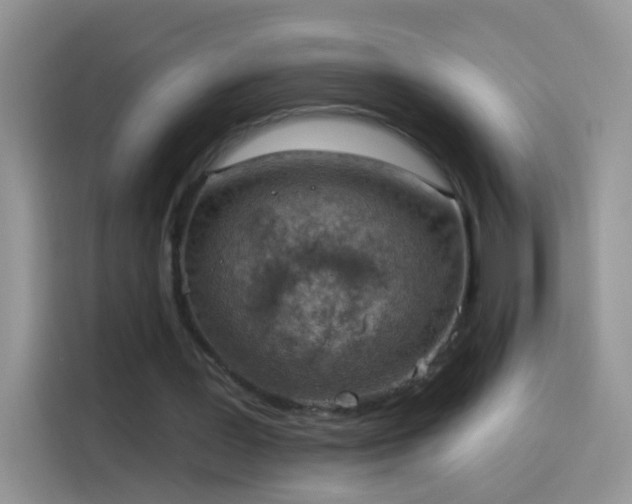 X0000114070387200910131211