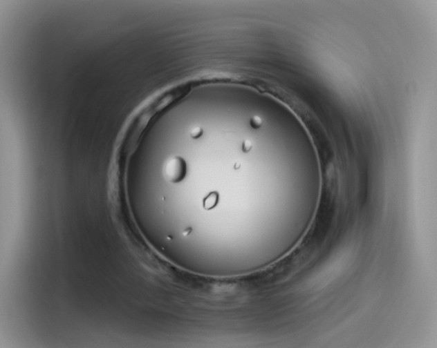 X0000114070388200910131211