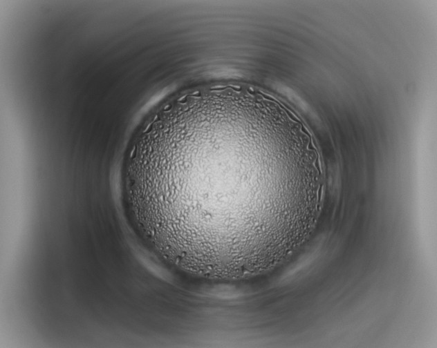 X0000114070390200910131210