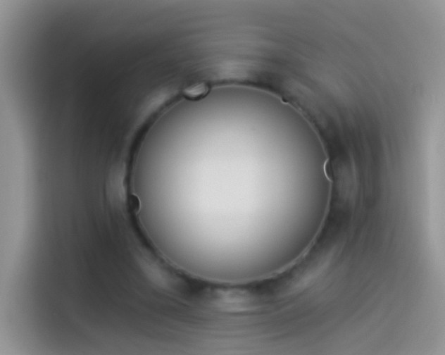 X0000114070395200910131210