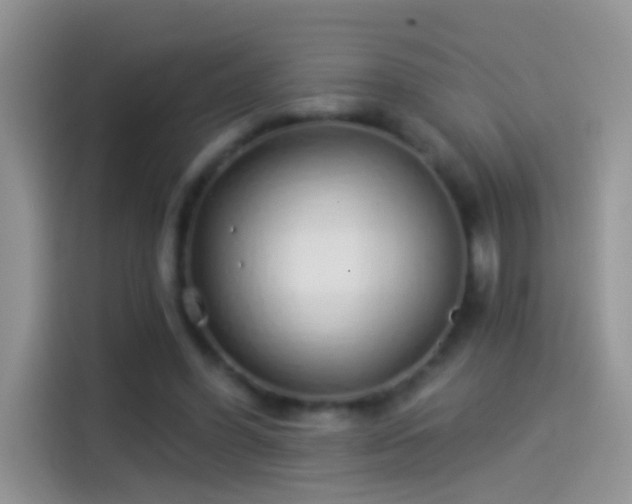 X0000114070396200910131210