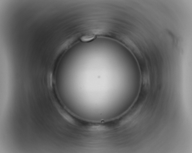 X0000114070397200910131210