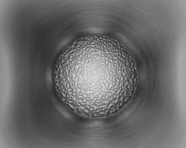 X0000114070398200910131210