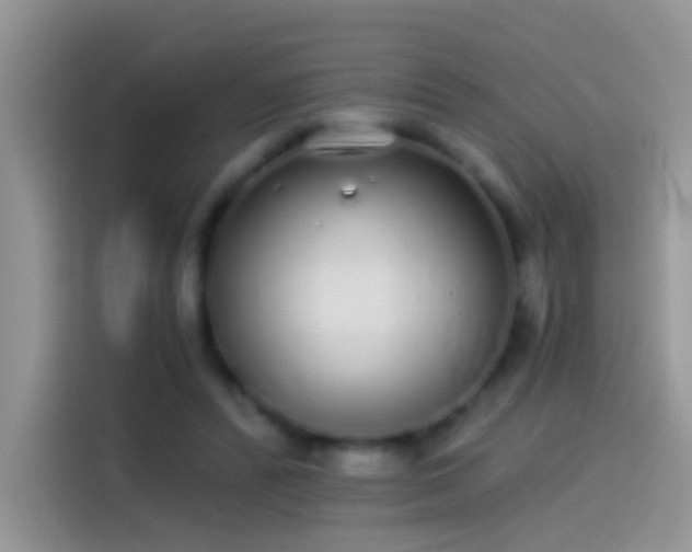 X0000114070400200910131210