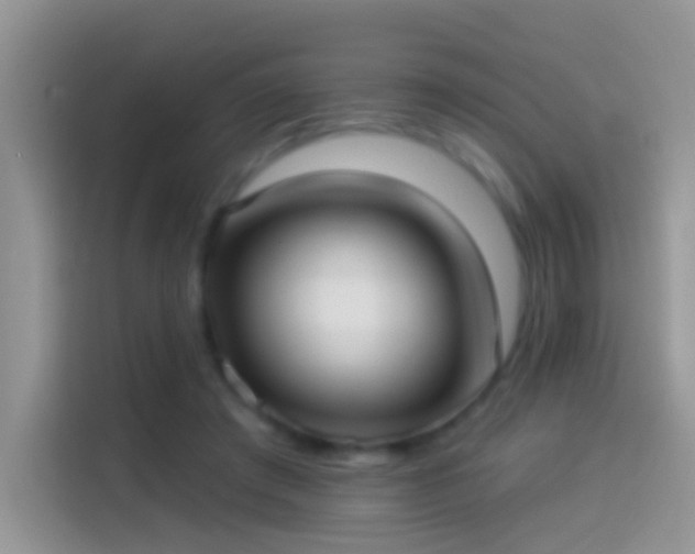 X0000114070401200910131210