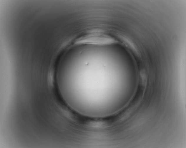 X0000114070404200910131210