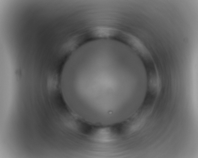 X0000114070411200910131210