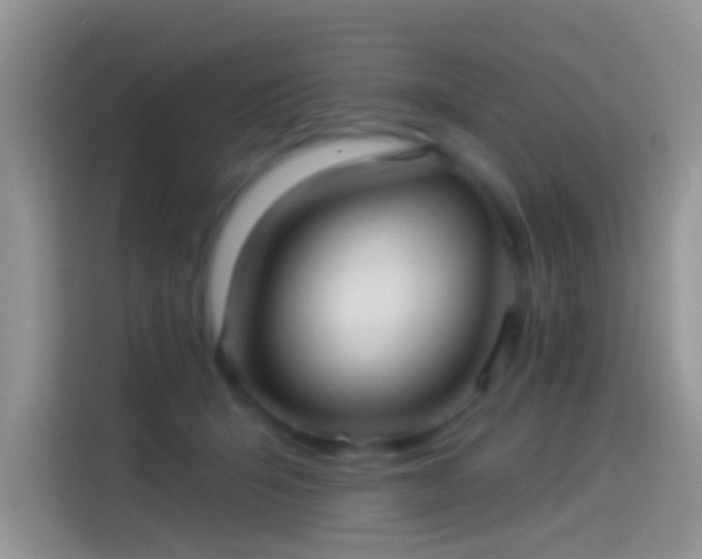 X0000114070415200910131210