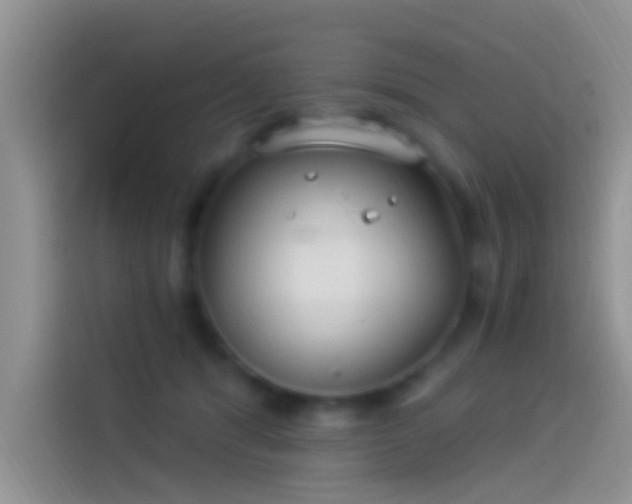 X0000114070416200910131210