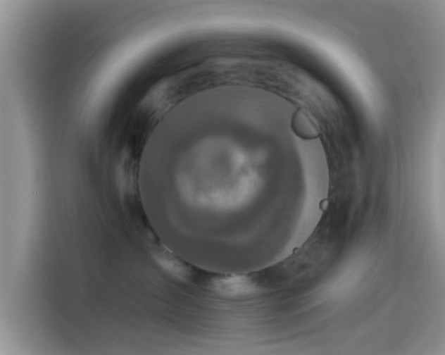 X0000114070431200910131210