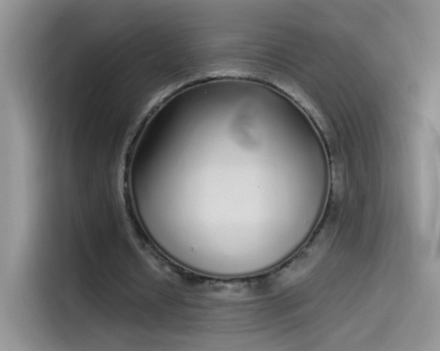 X0000114070434200910131209