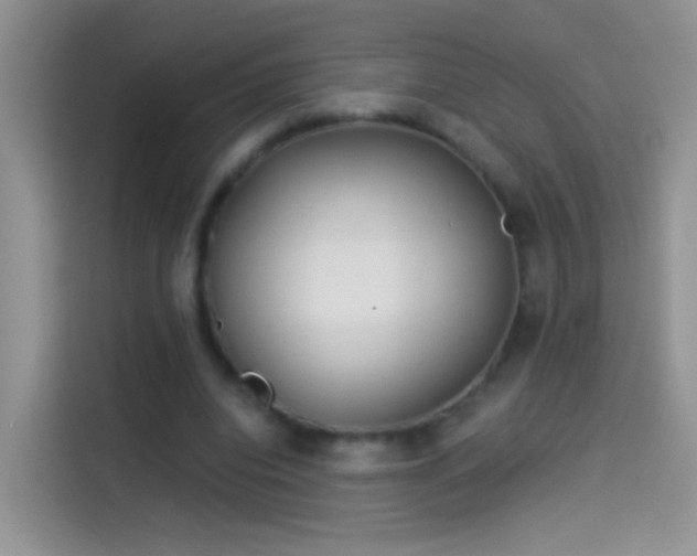 X0000114070440200910131209