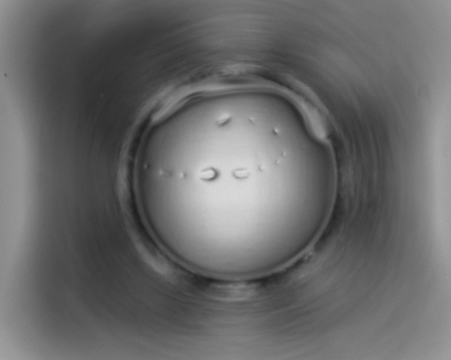 X0000114070443200910131209