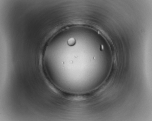 X0000114070445200910131209