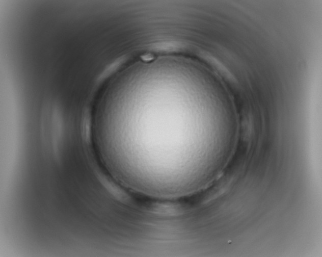 X0000114070446200910131209