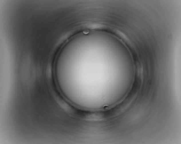 X0000114070447200910131210