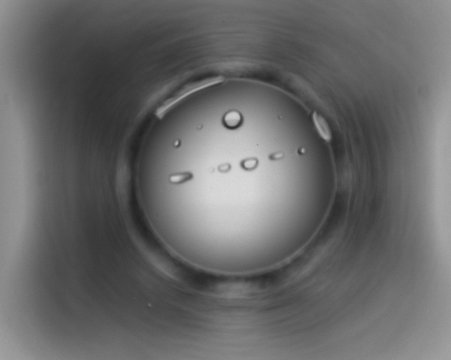 X0000114070448200910131210