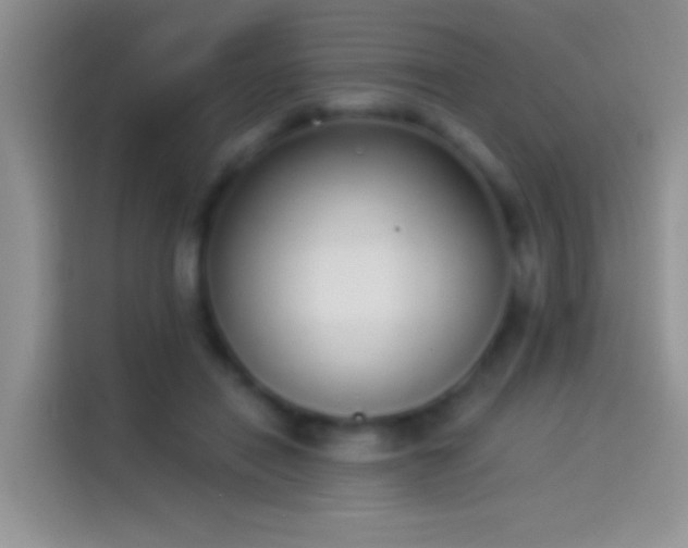 X0000114070454200910131210