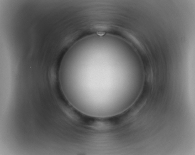 X0000114070455200910131210