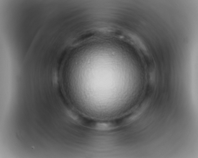 X0000114070457200910131210