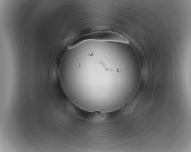 X0000114070474200910131210