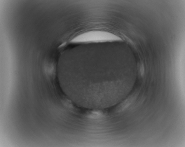 X0000114070475200910131210