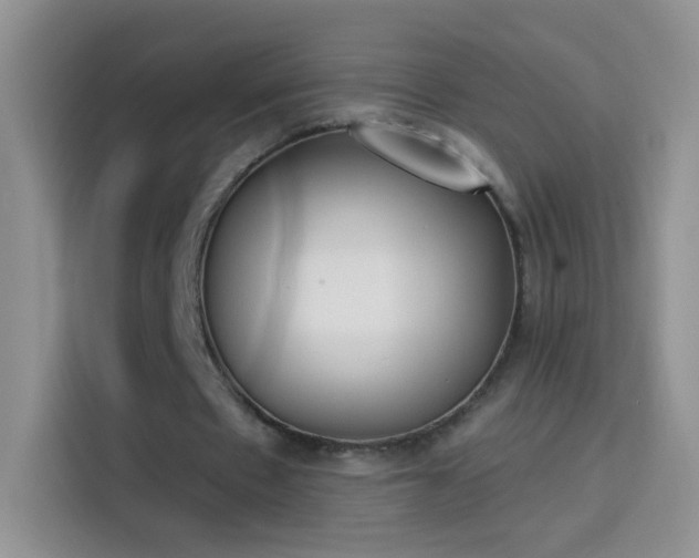 X0000114070481200910131209